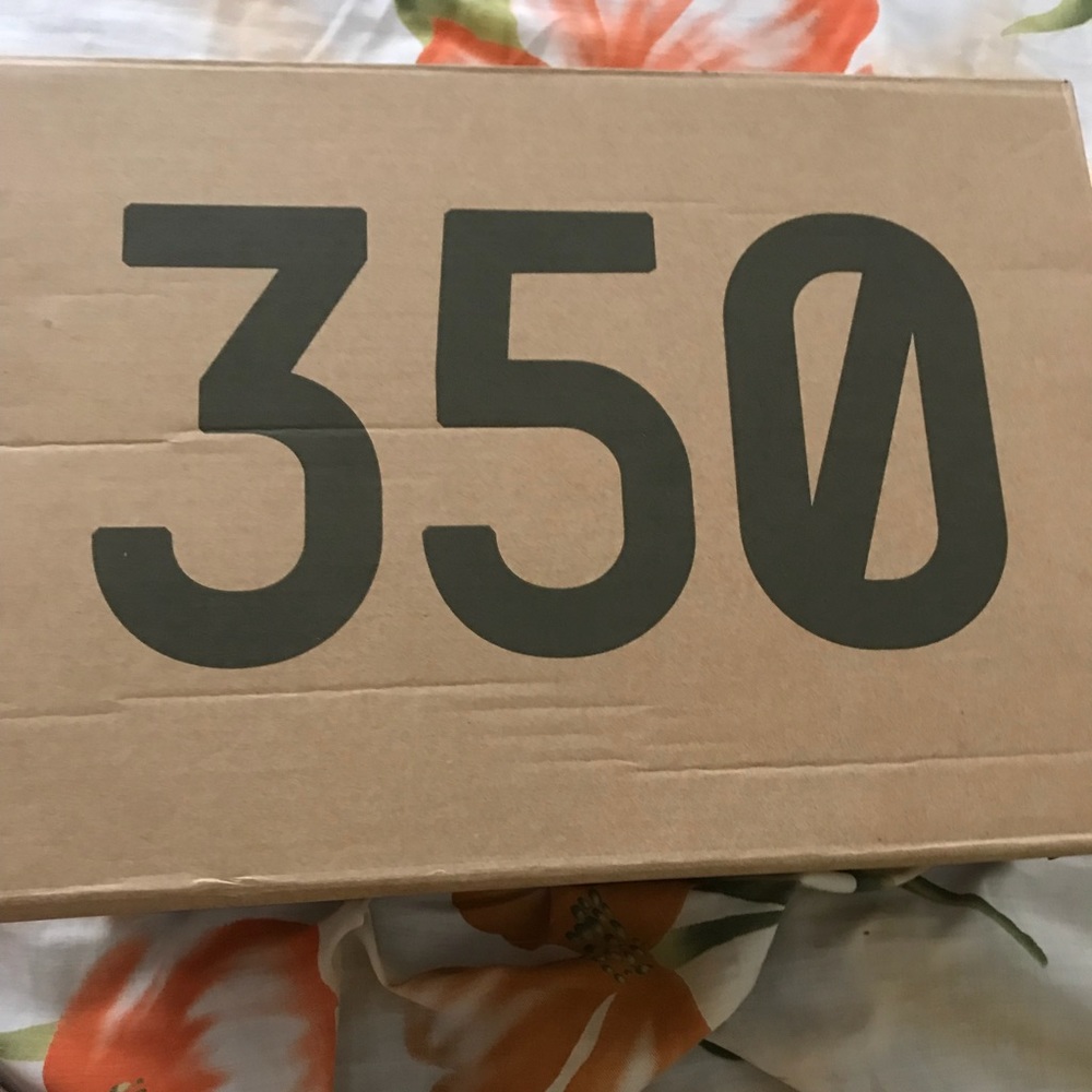 Yeezy boost 350 v2